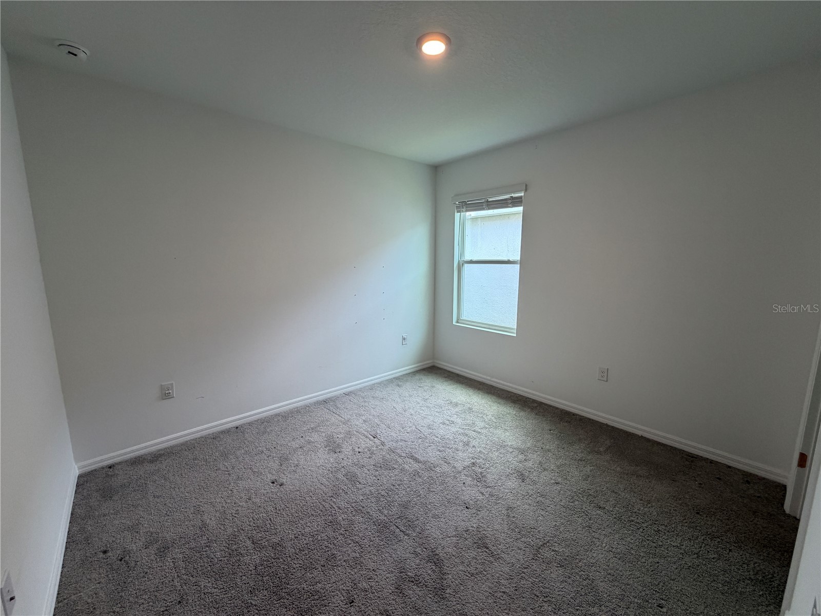 10888 Quail Grove Way San Antonio FL 33576 O6406627 image5