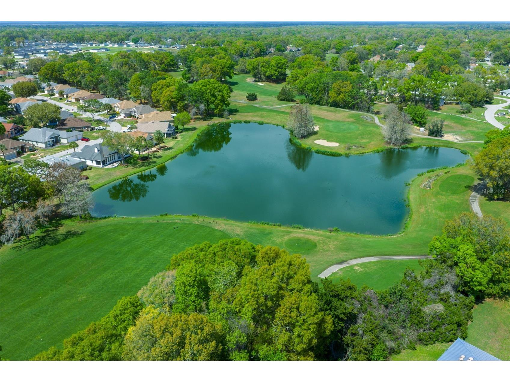 10889 SW 90th Court Ocala FL 34481 OM728203 image21
