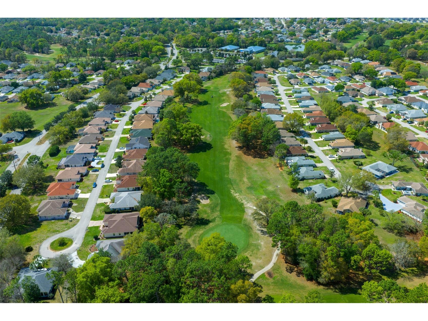 10889 SW 90th Court Ocala FL 34481 OM728203 image22
