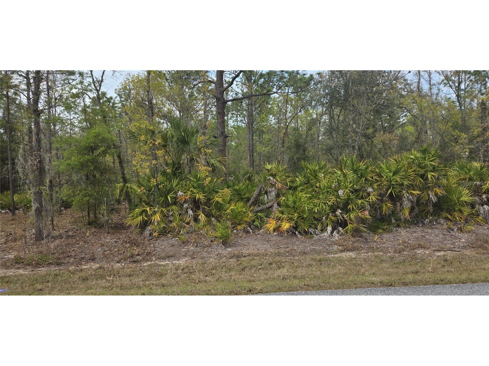 10889 W Kerry Lane Crystal River FL 34428 OM697930 image1