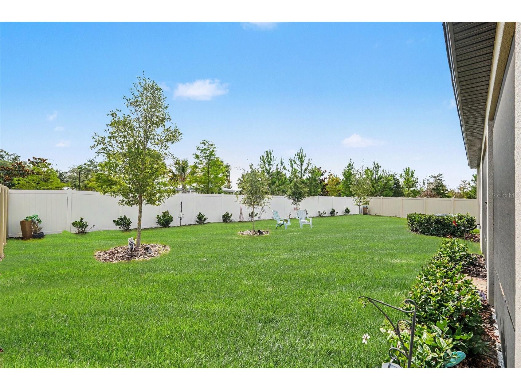 10892 Ibis Brook Court Land O Lakes FL 34638 TB8517378 image26
