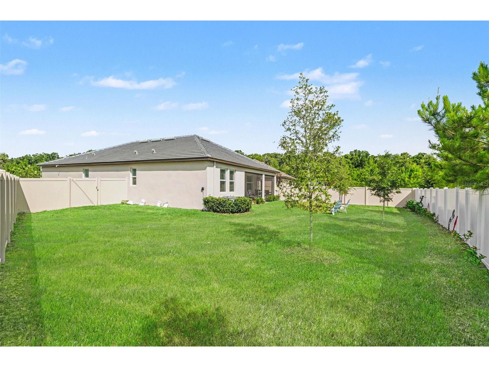 10892 Ibis Brook Court Land O Lakes FL 34638 TB8517378 image27