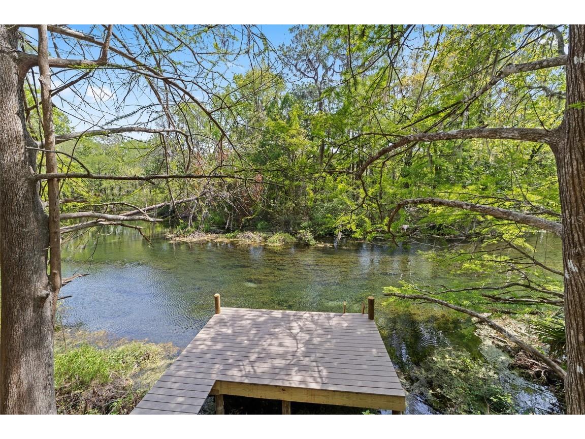 10894 SW 185th Terrace Dunnellon FL 34432 - RAINBOW RIVER TB8365488 image2