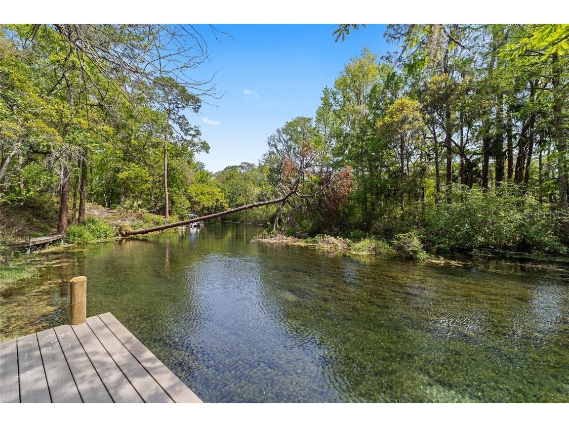 10894 SW 185th Terrace Dunnellon FL 34432 - RAINBOW RIVER TB8365488 image3