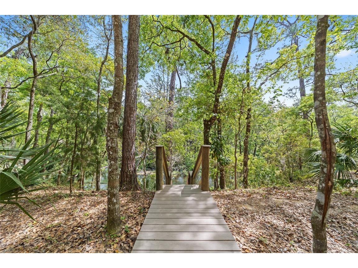 10894 SW 185th Terrace Dunnellon FL 34432 - RAINBOW RIVER TB8365488 image31