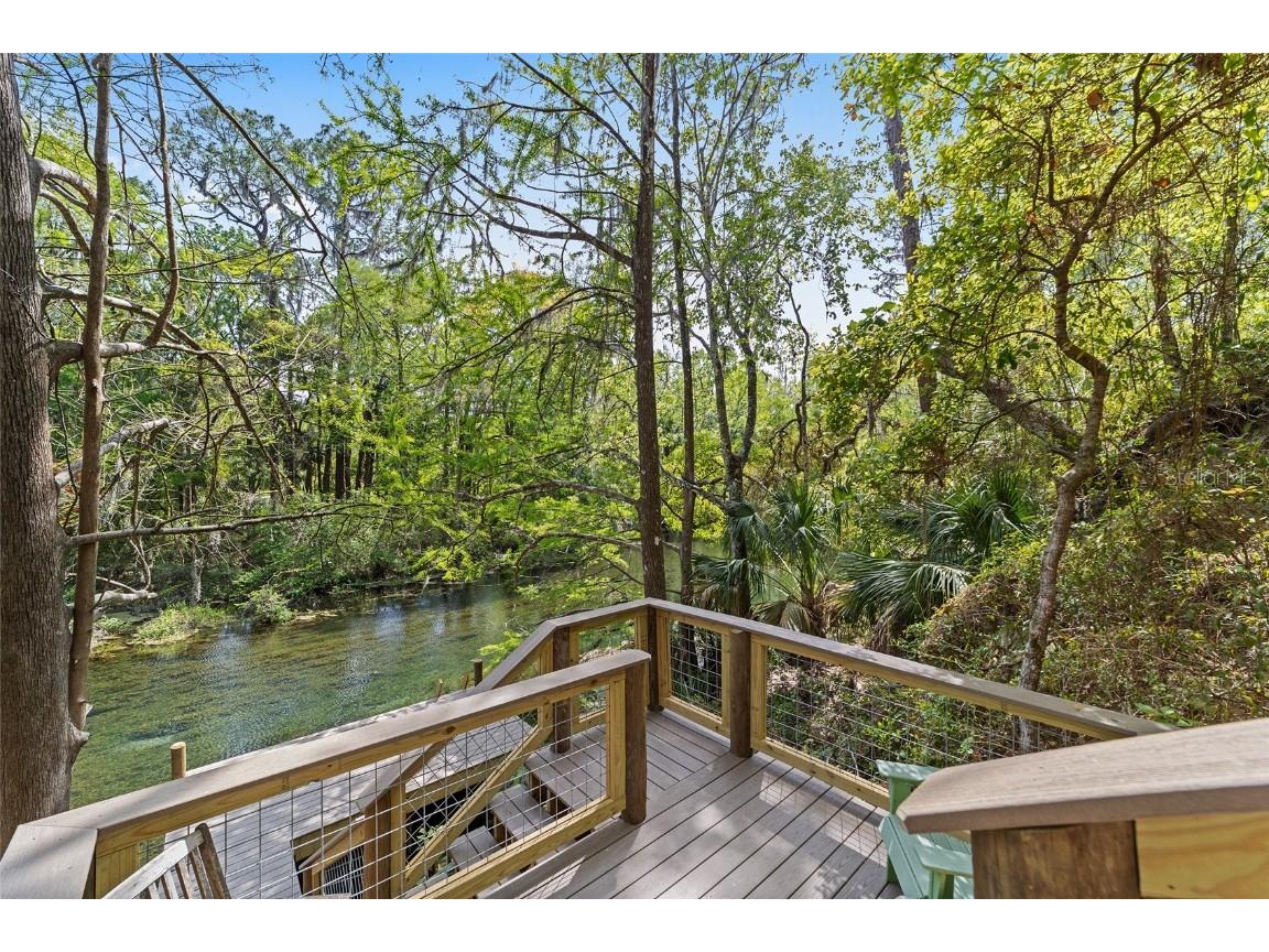 10894 SW 185th Terrace Dunnellon FL 34432 - RAINBOW RIVER TB8365488 image33