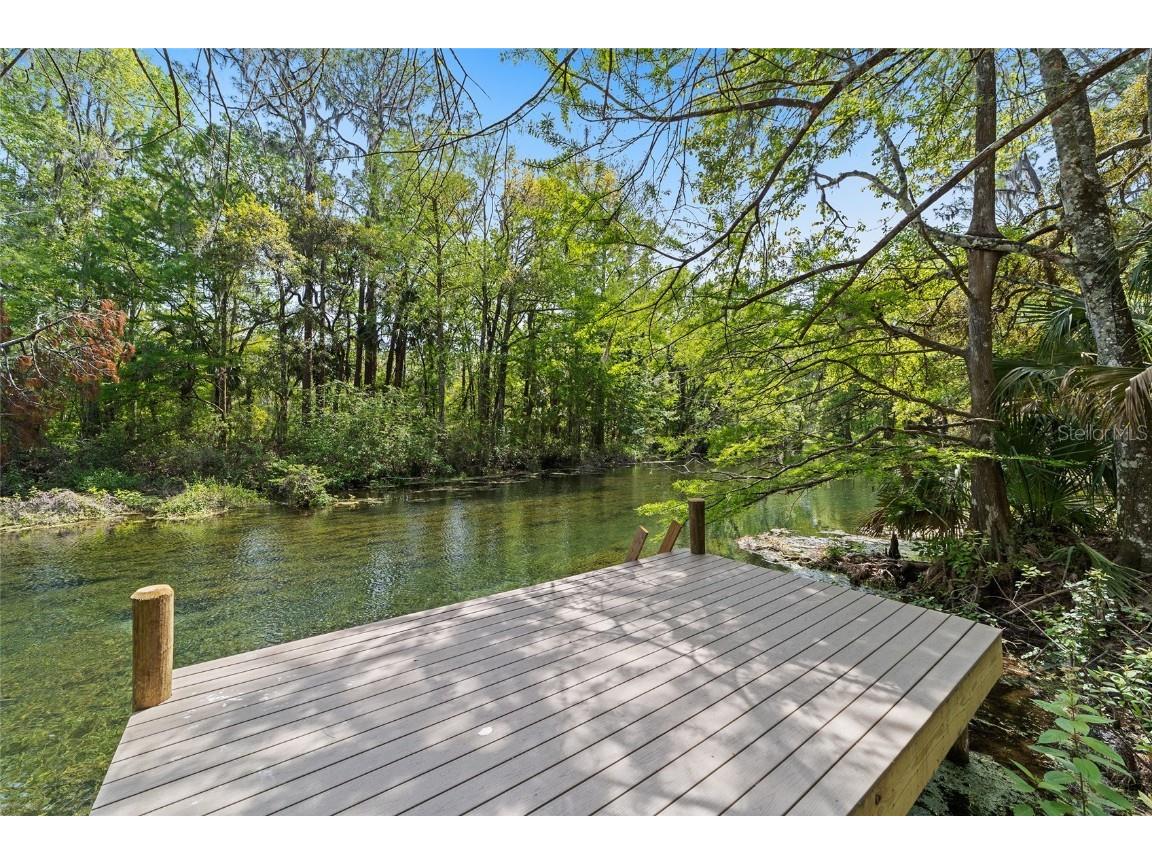 10894 SW 185th Terrace Dunnellon FL 34432 - RAINBOW RIVER TB8365488 image34