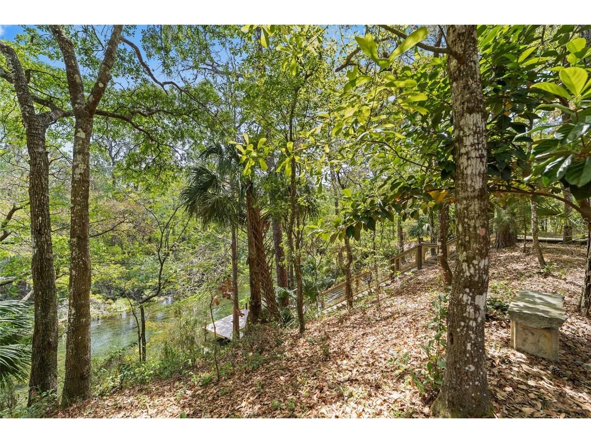 10894 SW 185th Terrace Dunnellon FL 34432 - RAINBOW RIVER TB8365488 image35