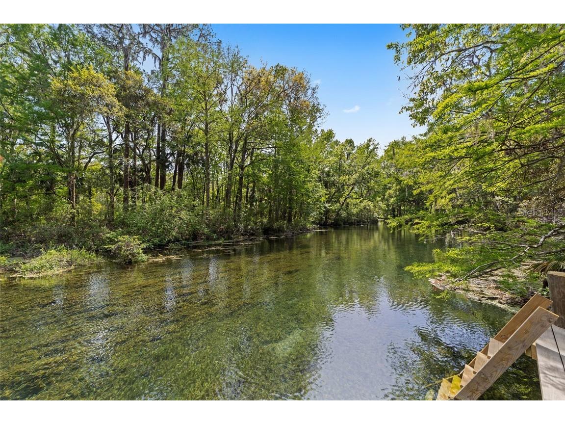 10894 SW 185th Terrace Dunnellon FL 34432 - RAINBOW RIVER TB8365488 image4