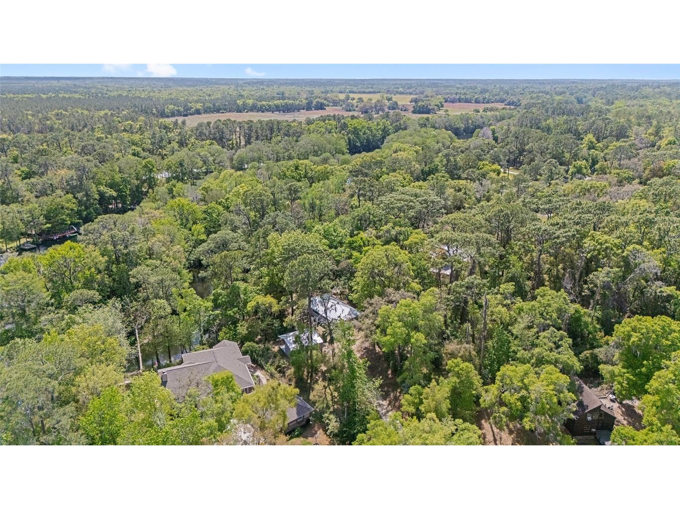 10894 SW 185th Terrace Dunnellon FL 34432 - RAINBOW RIVER TB8365488 image46