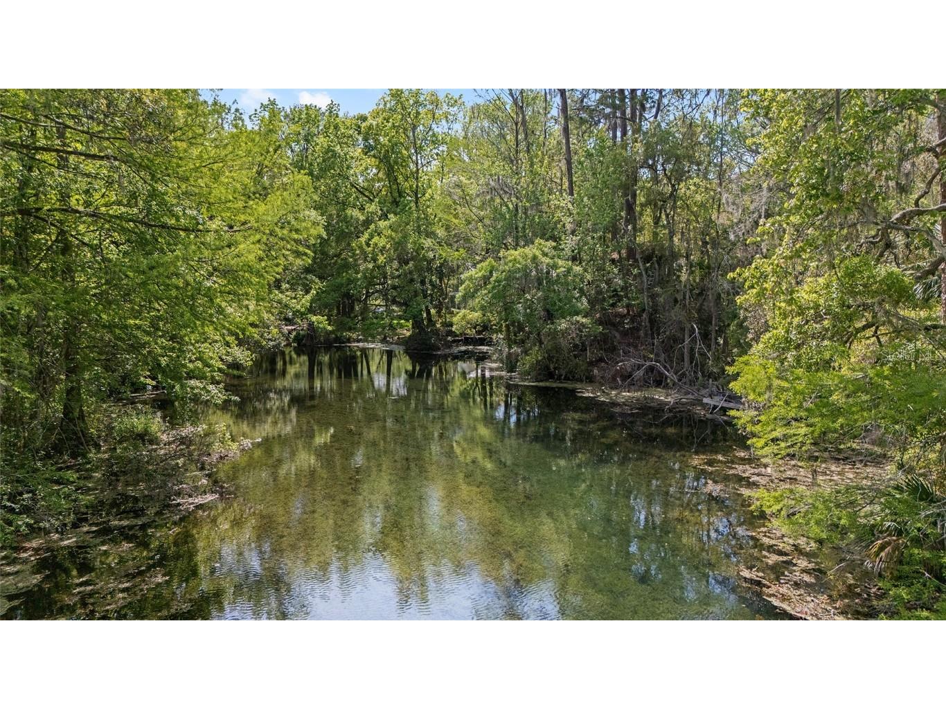 10894 SW 185th Terrace Dunnellon FL 34432 - RAINBOW RIVER TB8365488 image53