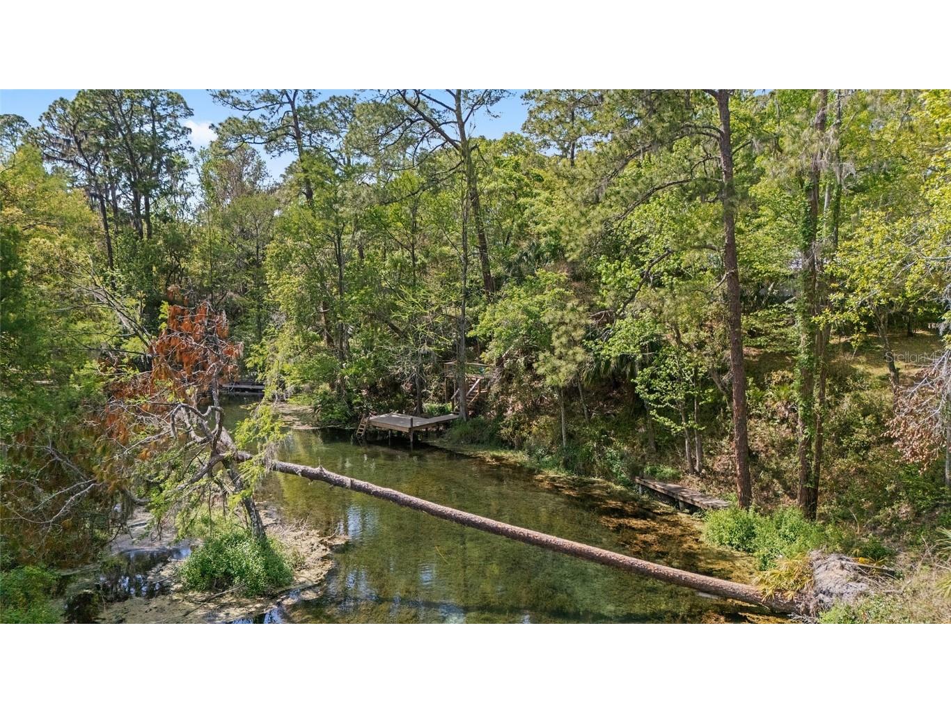 10894 SW 185th Terrace Dunnellon FL 34432 - RAINBOW RIVER TB8365488 image54