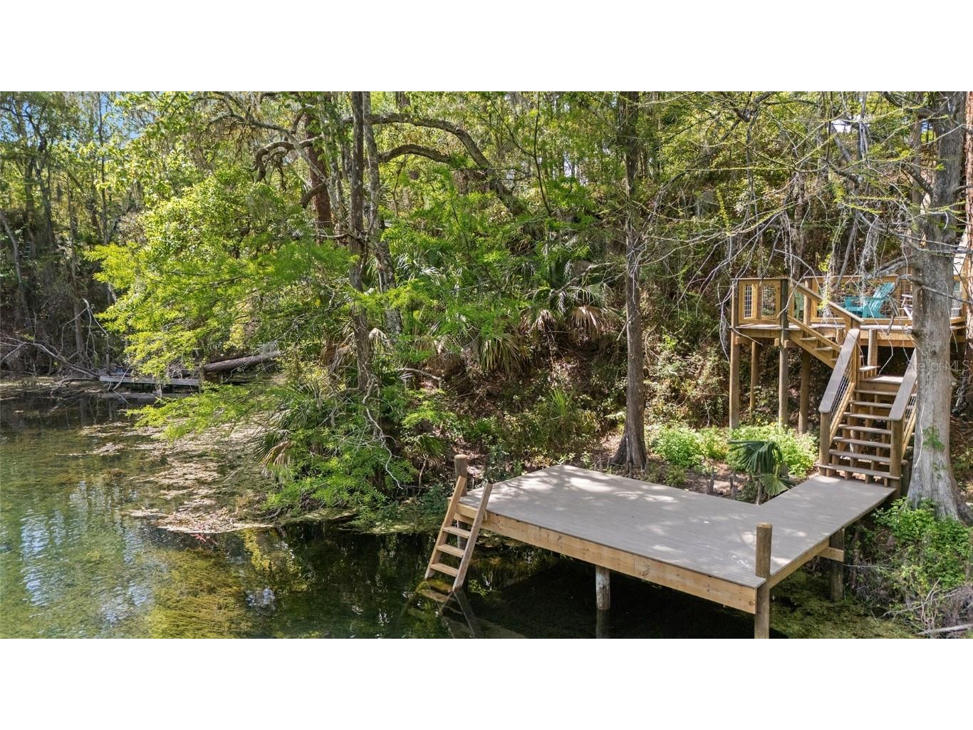 10894 SW 185th Terrace Dunnellon FL 34432 - RAINBOW RIVER TB8365488 image55