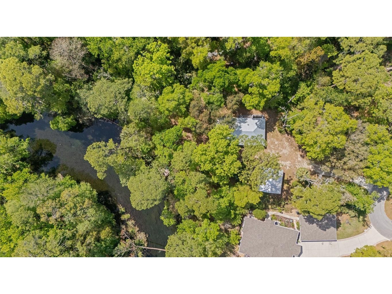 10894 SW 185th Terrace Dunnellon FL 34432 - RAINBOW RIVER TB8365488 image57