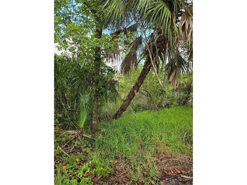 10894 W Larchwood Street Homosassa FL 34448 OM707876 image1