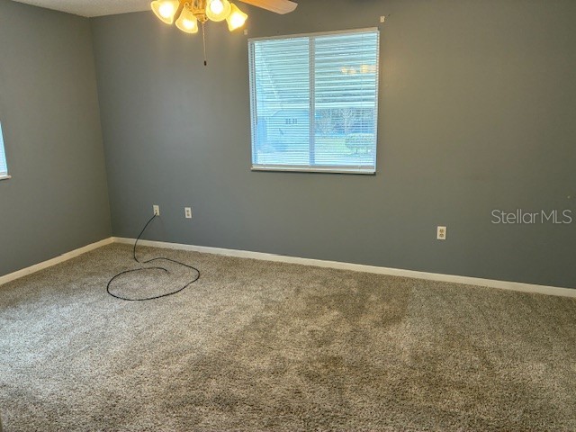 10898 SW 88th Court Ocala FL 34481 OM721255 image19