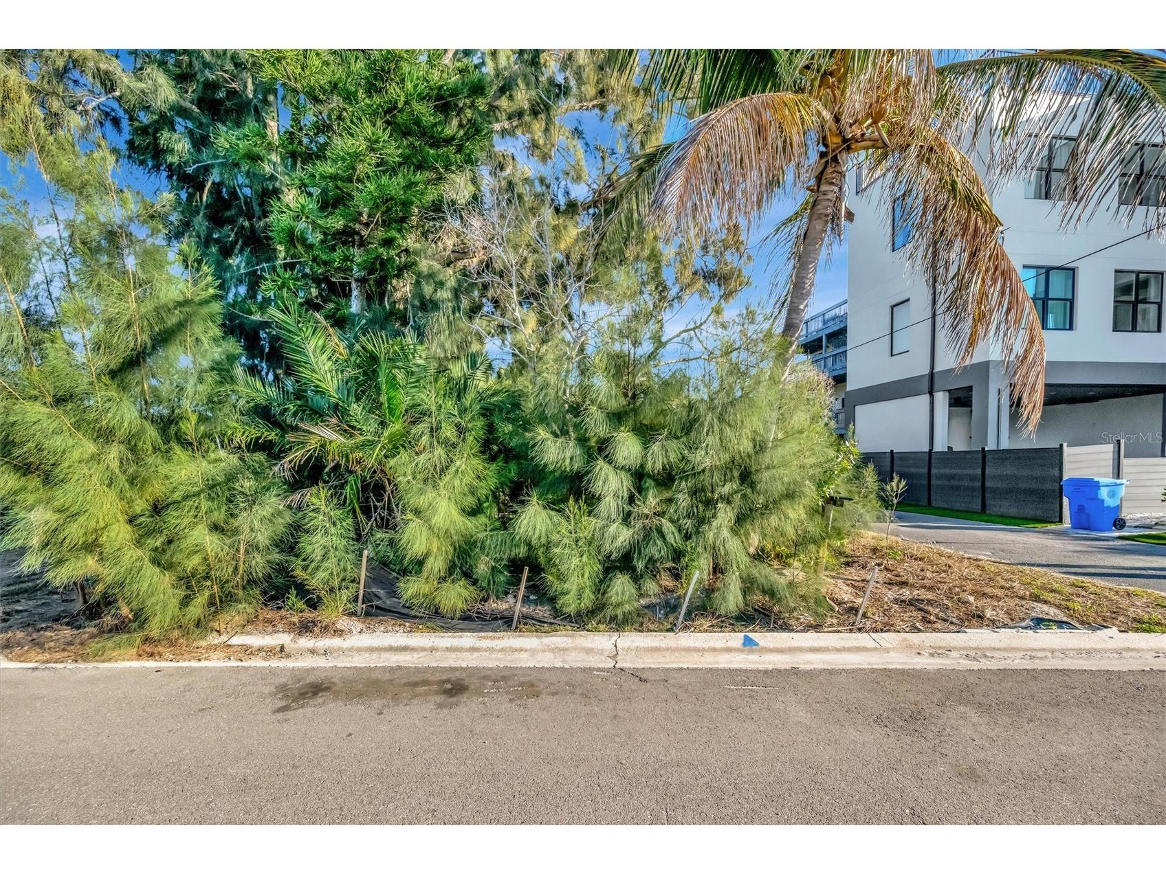 109 125th Avenue Treasure Island FL 33706 TB8359164 image10