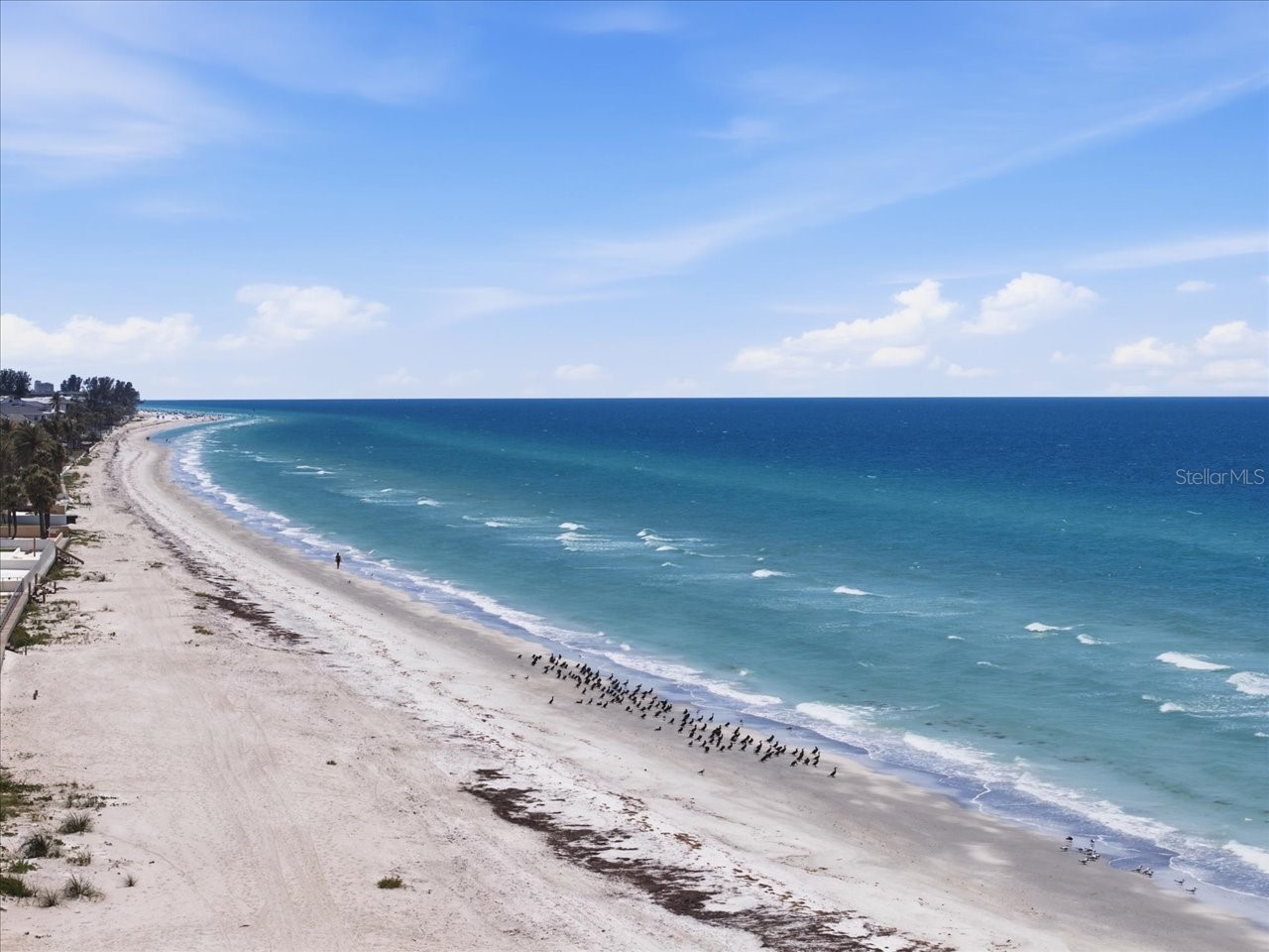 109 16th Street Belleair Beach FL 33786 TB8494914 image76