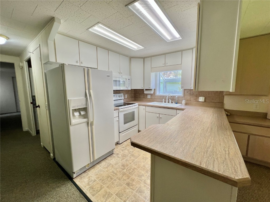 109 Avocado Cove Leesburg FL 34748 G5100543 image10