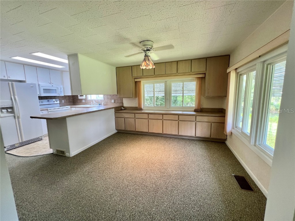 109 Avocado Cove Leesburg FL 34748 G5100543 image12