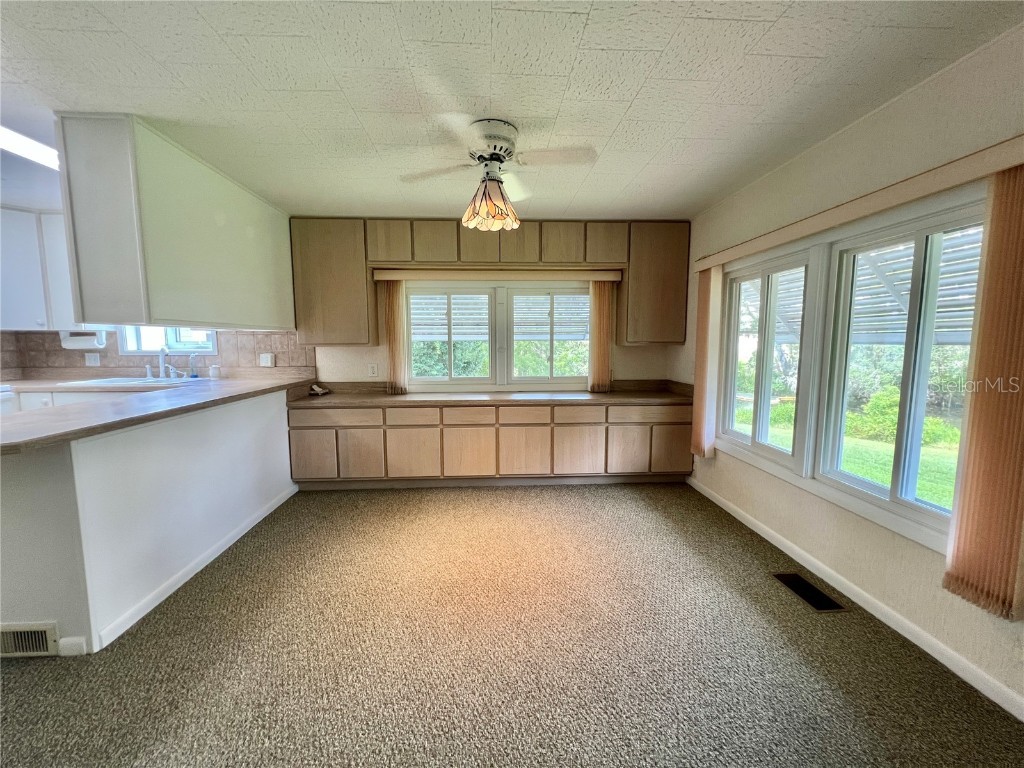 109 Avocado Cove Leesburg FL 34748 G5100543 image46