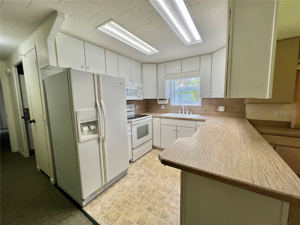 109 Avocado Cove Leesburg FL 34748 G5100543 image53