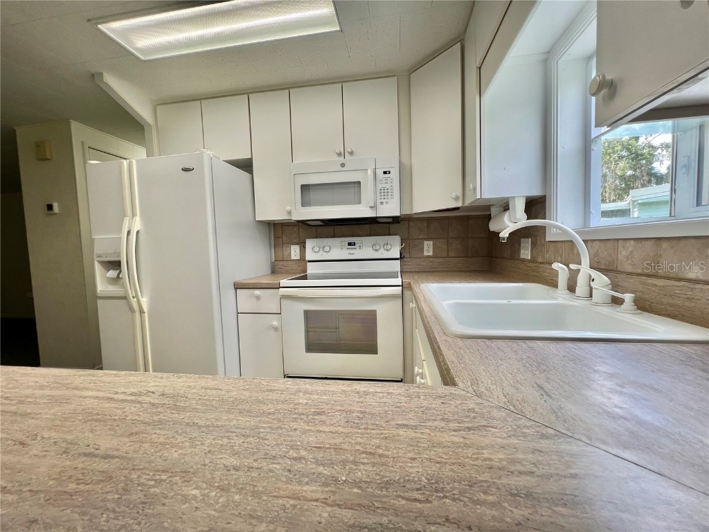 109 Avocado Cove Leesburg FL 34748 G5100543 image54