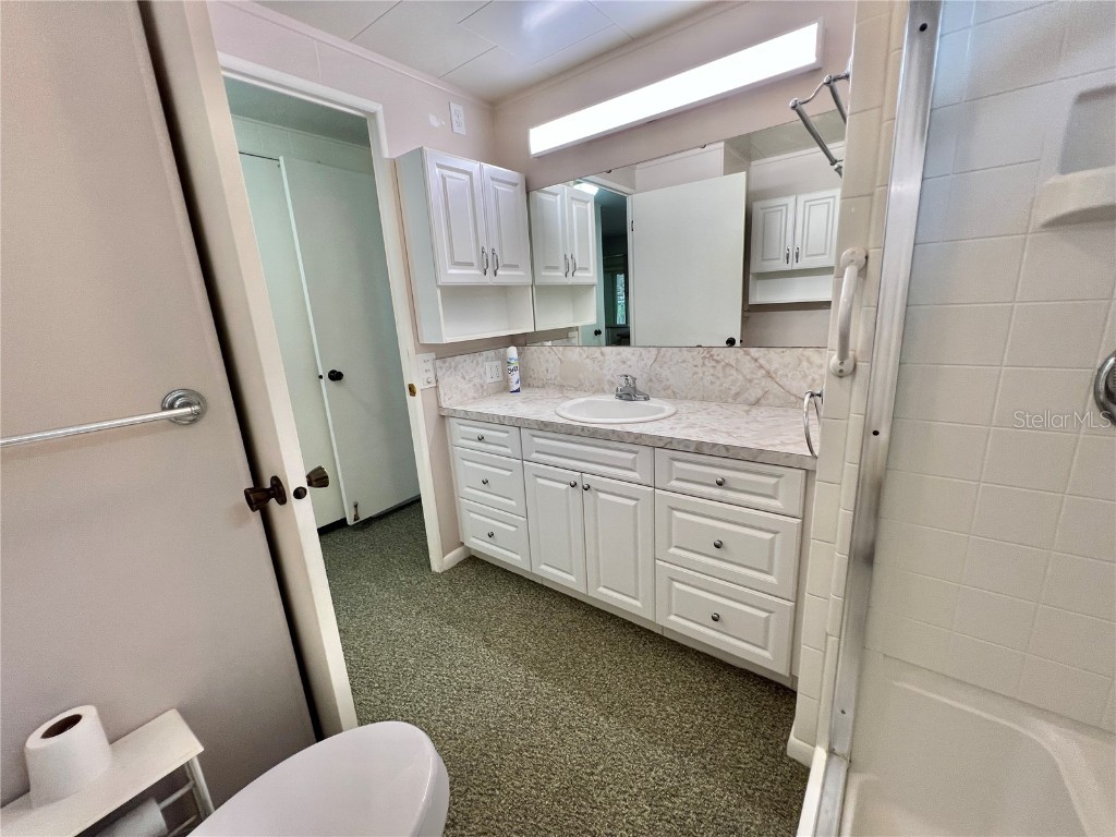 109 Avocado Cove Leesburg FL 34748 G5100543 image60