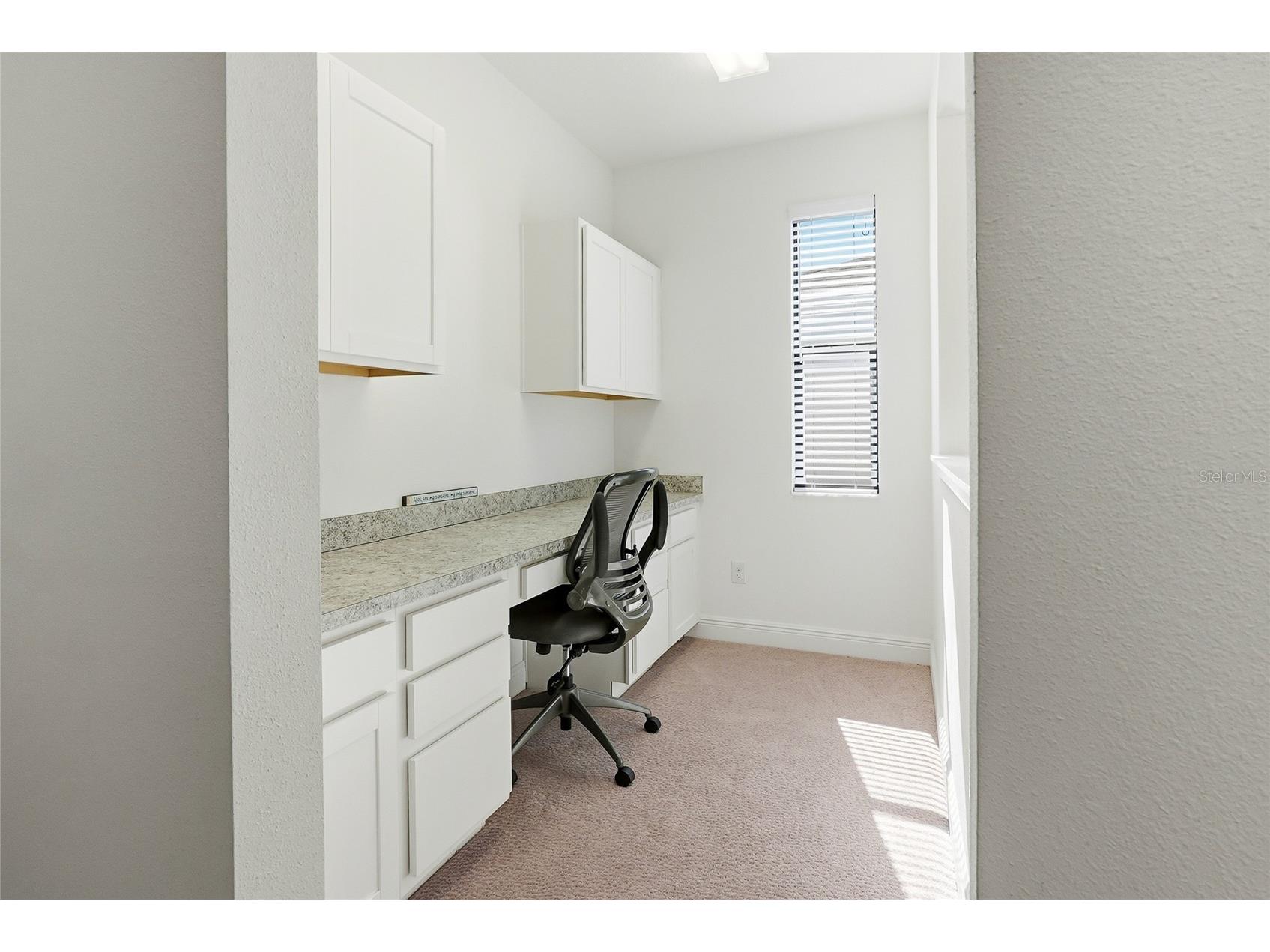 109 Azul Drive Seffner FL 33584 TB8474681 image29