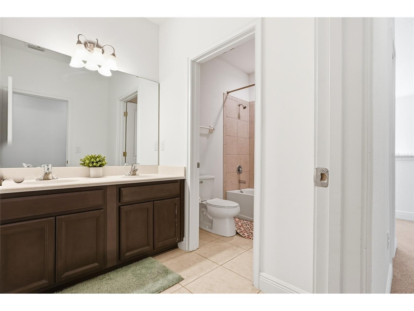 109 Azul Drive Seffner FL 33584 TB8474681 image32