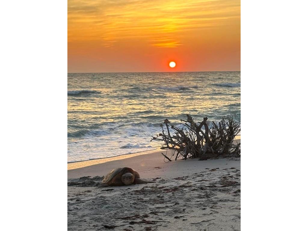 109 Bayshore Road #10 Nokomis FL 34275 - BLACKBURN BAY AKA INTRACOASTAL N6137805 image38