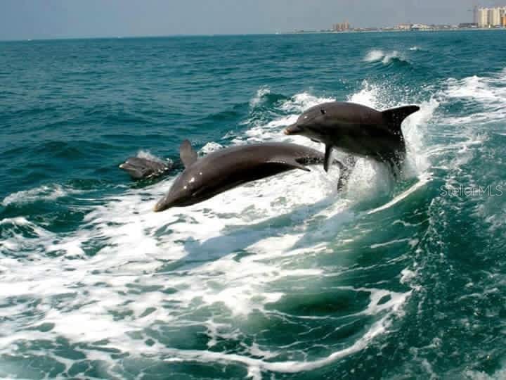 109 Bayshore Road #10 Nokomis FL 34275 - BLACKBURN BAY AKA INTRACOASTAL N6137805 image57