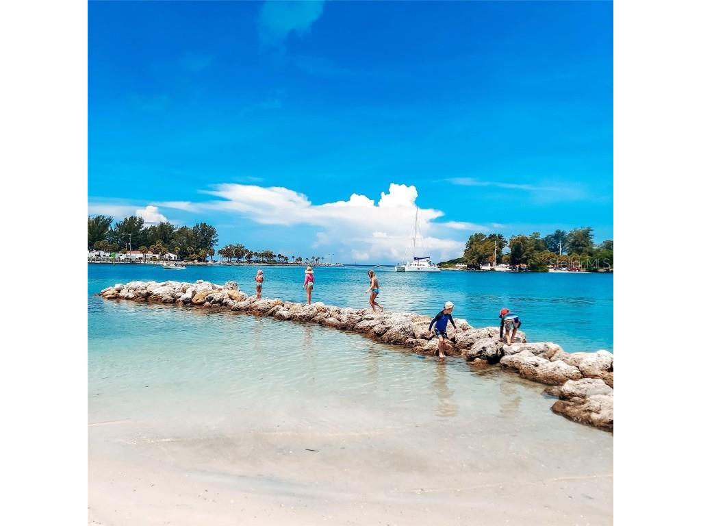 109 Bayshore Road #10 Nokomis FL 34275 - BLACKBURN BAY AKA INTRACOASTAL N6137805 image60