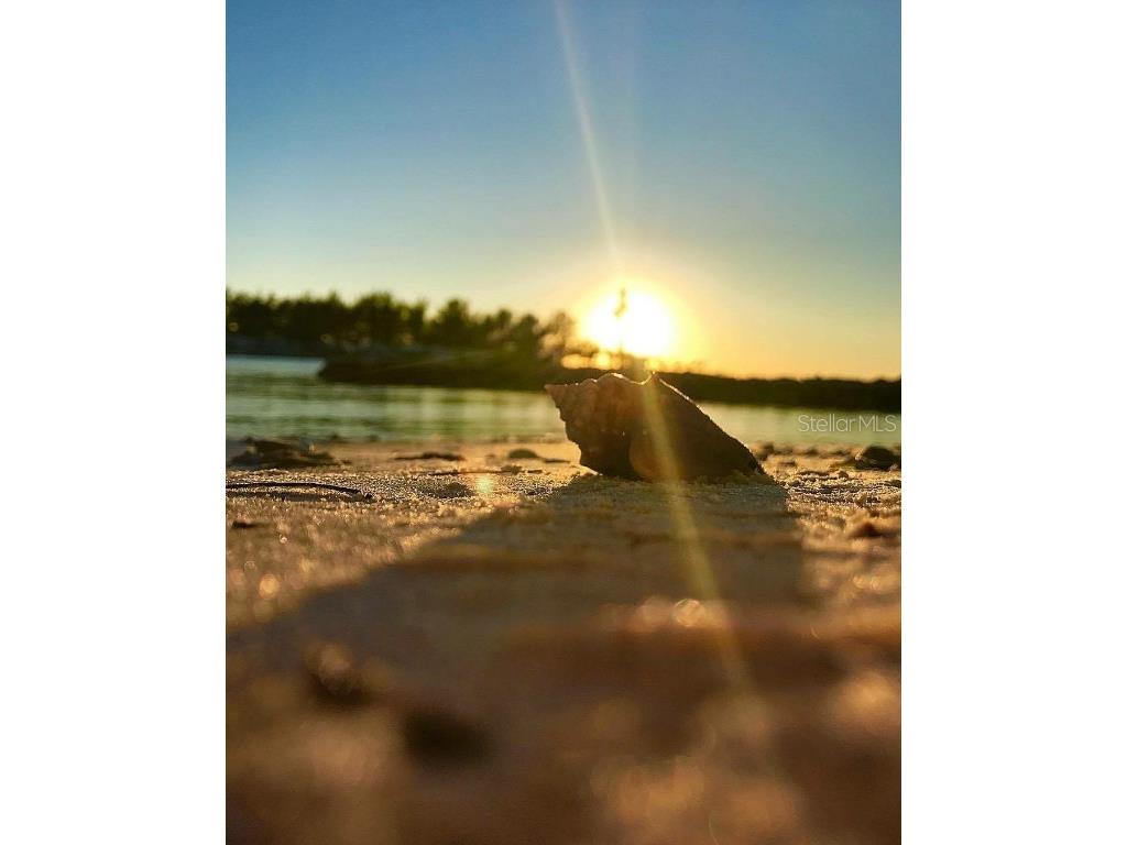 109 Bayshore Road #10 Nokomis FL 34275 - BLACKBURN BAY AKA INTRACOASTAL N6137805 image78