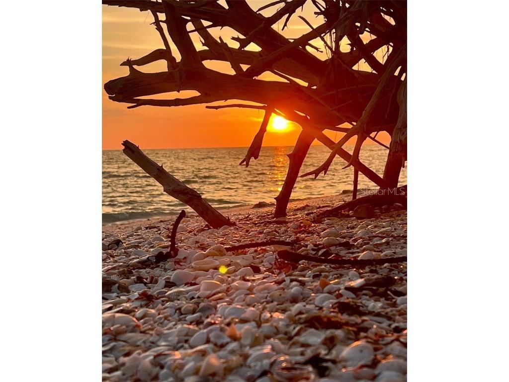 109 Bayshore Road #10 Nokomis FL 34275 - BLACKBURN BAY AKA INTRACOASTAL N6137805 image79