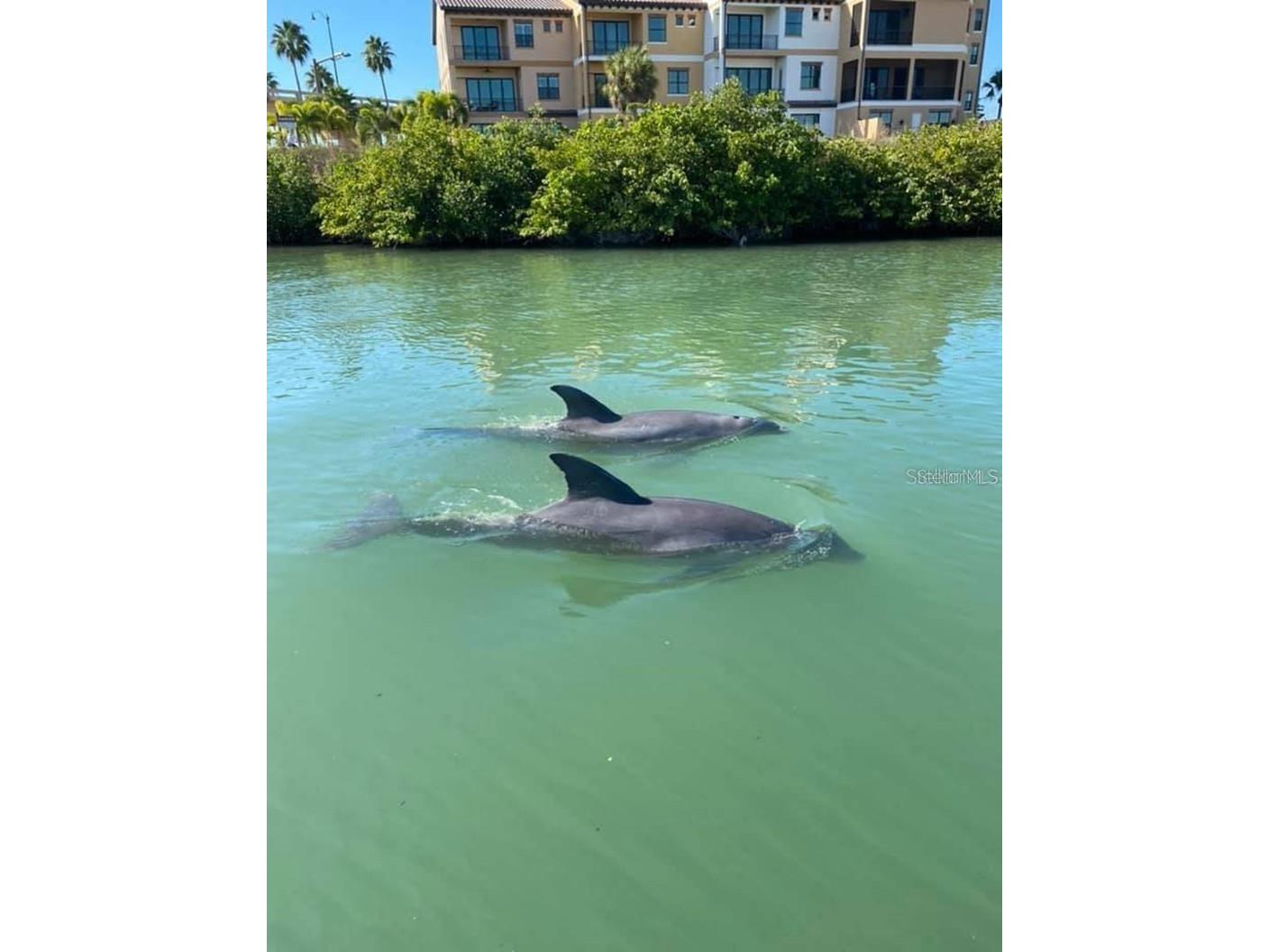 109 Bayshore Road #10 Nokomis FL 34275 - BLACKBURN BAY AKA INTRACOASTAL N6137805 image82