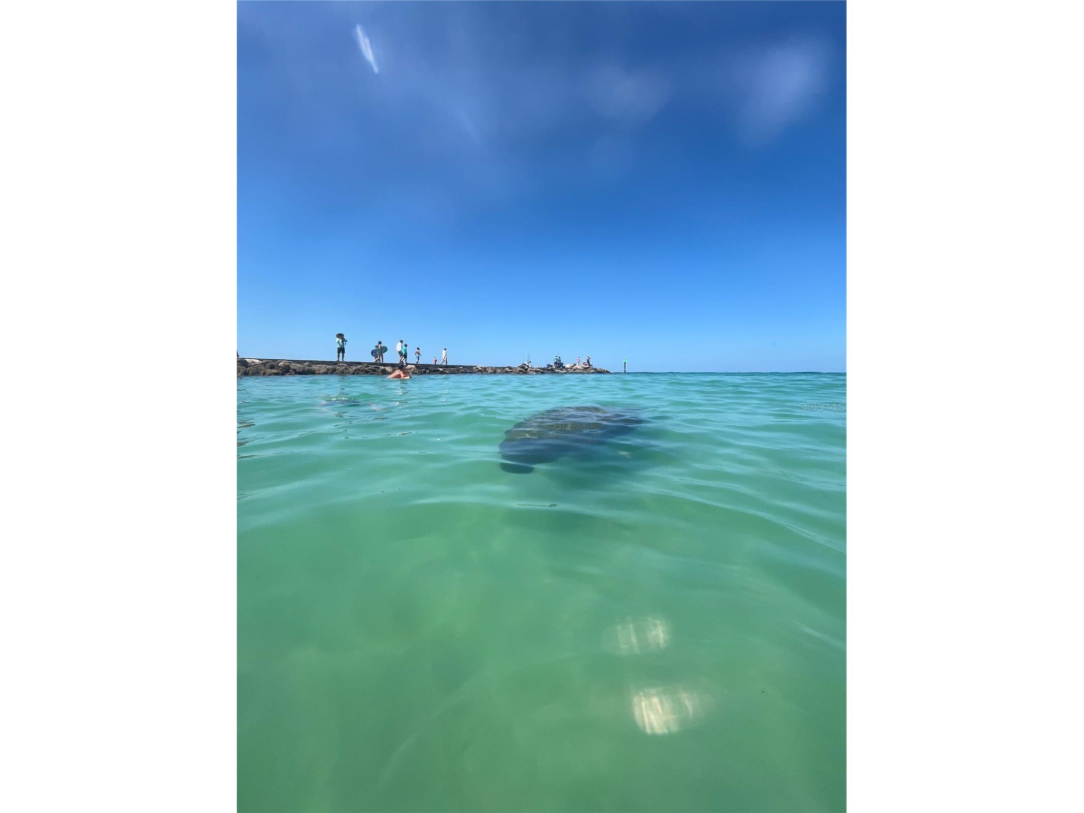 109 Bayshore Road #10 Nokomis FL 34275 - BLACKBURN BAY AKA INTRACOASTAL N6137805 image85