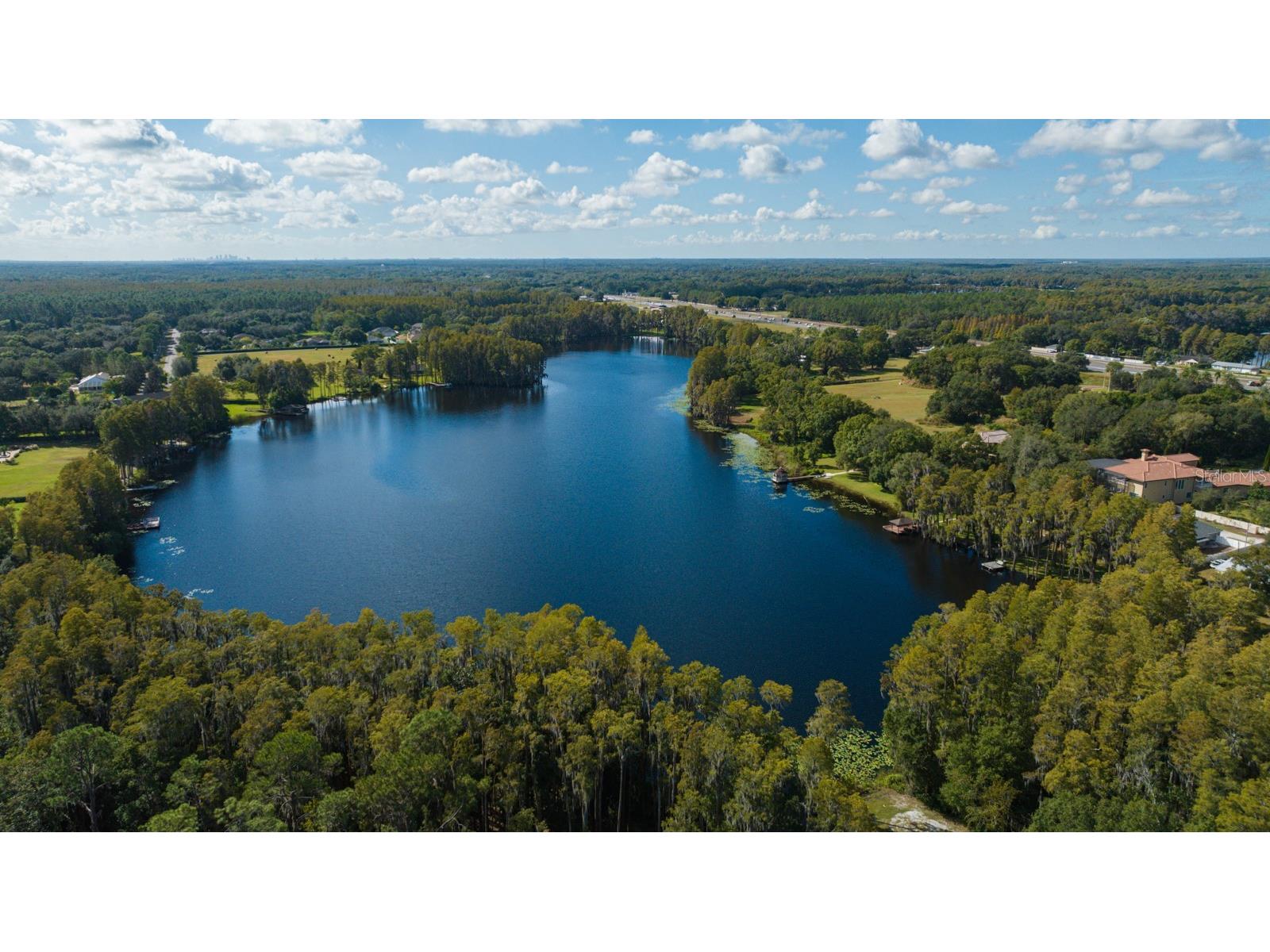 109 Bellamere Palms Court Lutz FL 33549 - LAKE KELL TB8469674 image1