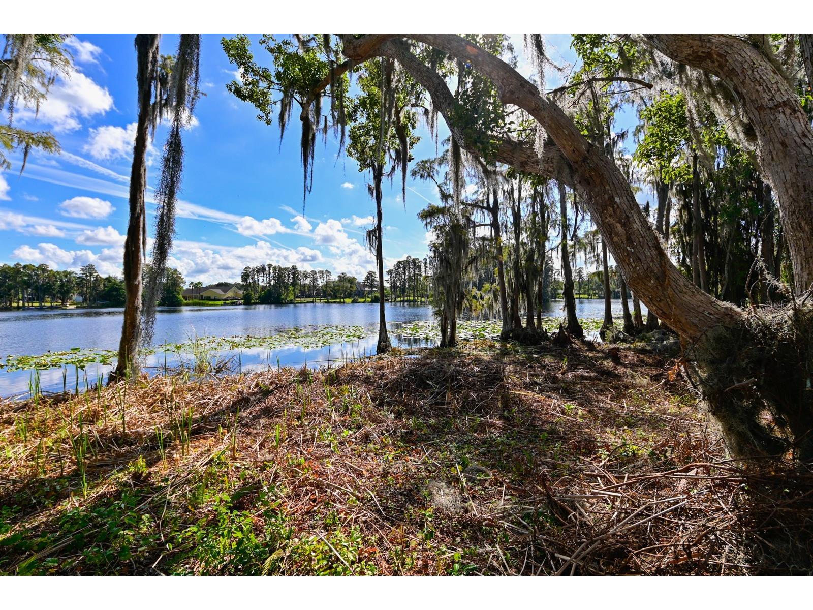 109 Bellamere Palms Court Lutz FL 33549 - LAKE KELL TB8469674 image11