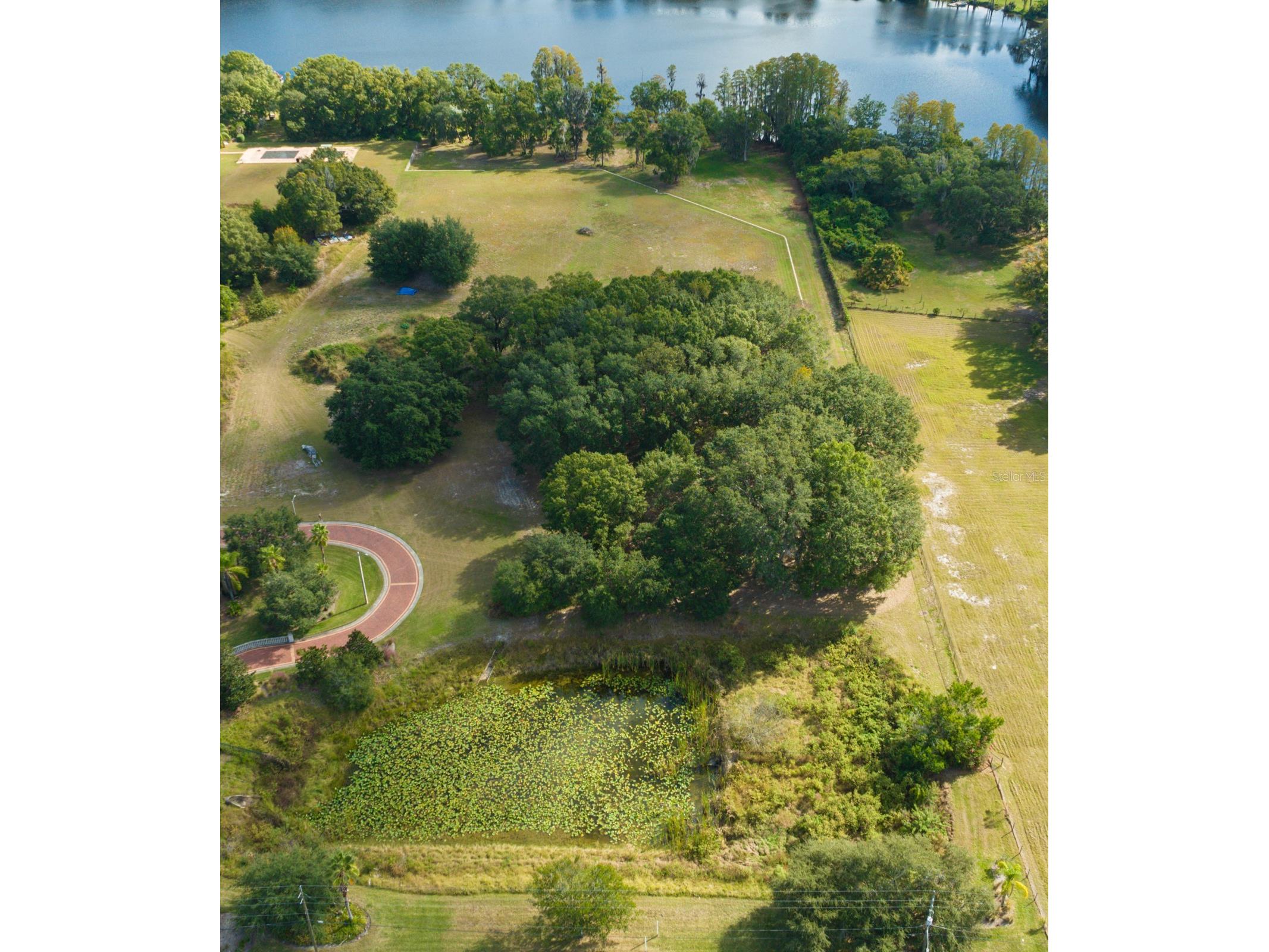 109 Bellamere Palms Court Lutz FL 33549 - LAKE KELL TB8469674 image3