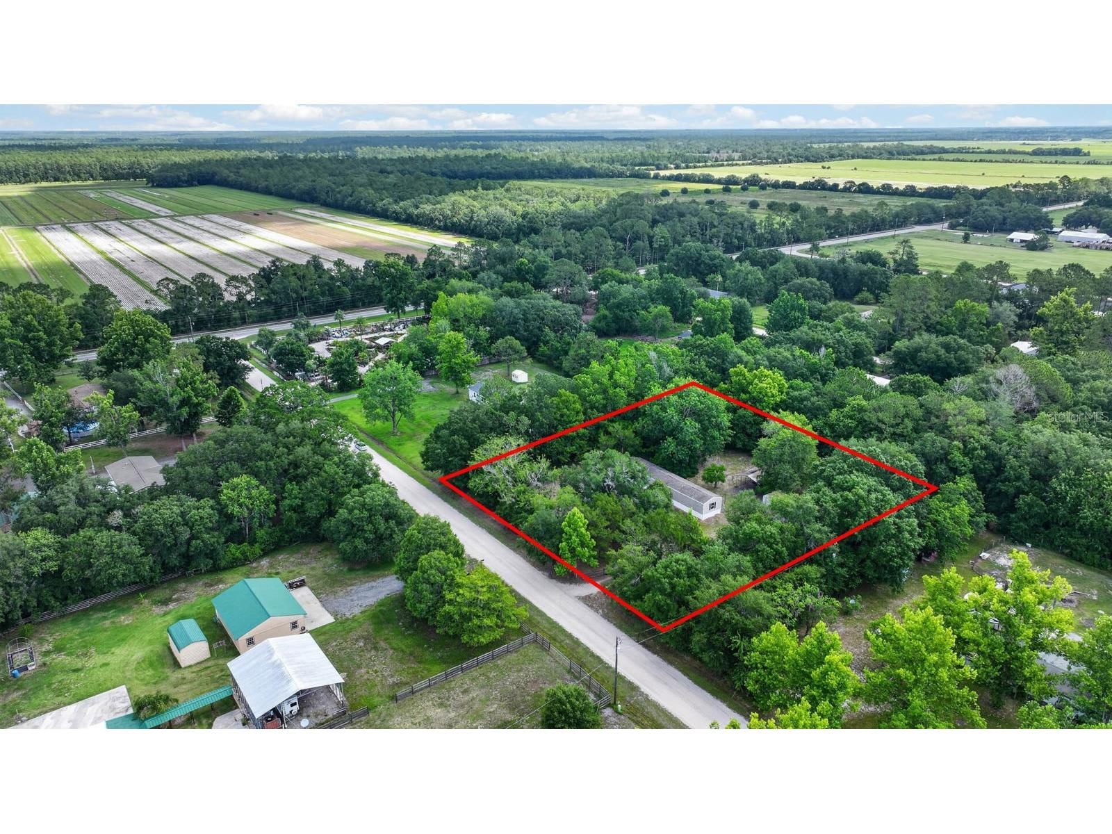 109 Bimini Lane Bunnell FL 32110 FC319234 image5