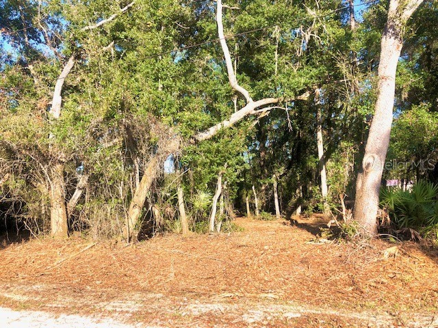 109 Bluegill Drive Satsuma FL 32189 G5063267 image1