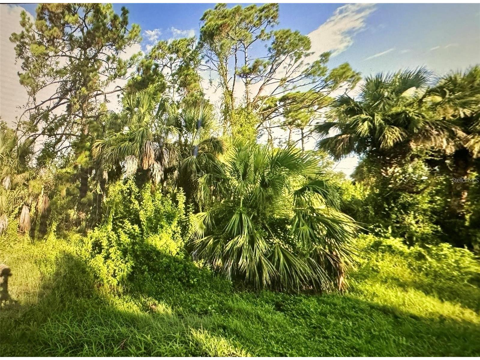 109 Camillia Lane Port Charlotte FL 33954 A4683275 image1