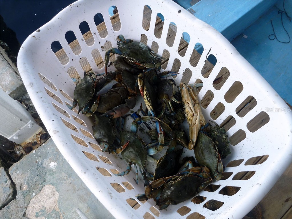 109 Carmelina Street Ruskin FL 33570 - LITTLE MANATEE RIVER TB8366706 image52