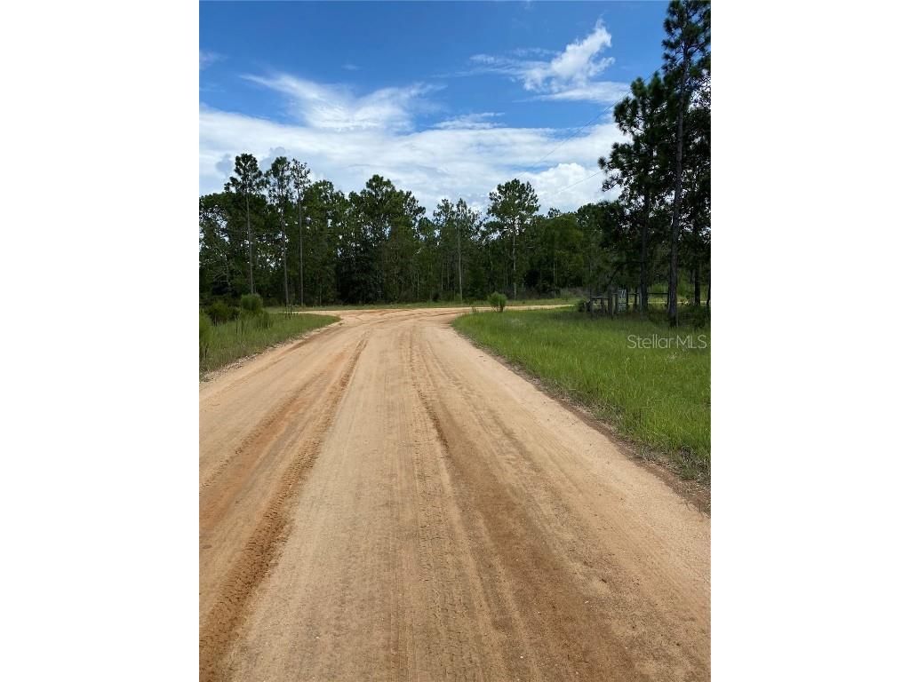 109 Dew Drop Drive Hawthorne FL 32640 L4938360 image1