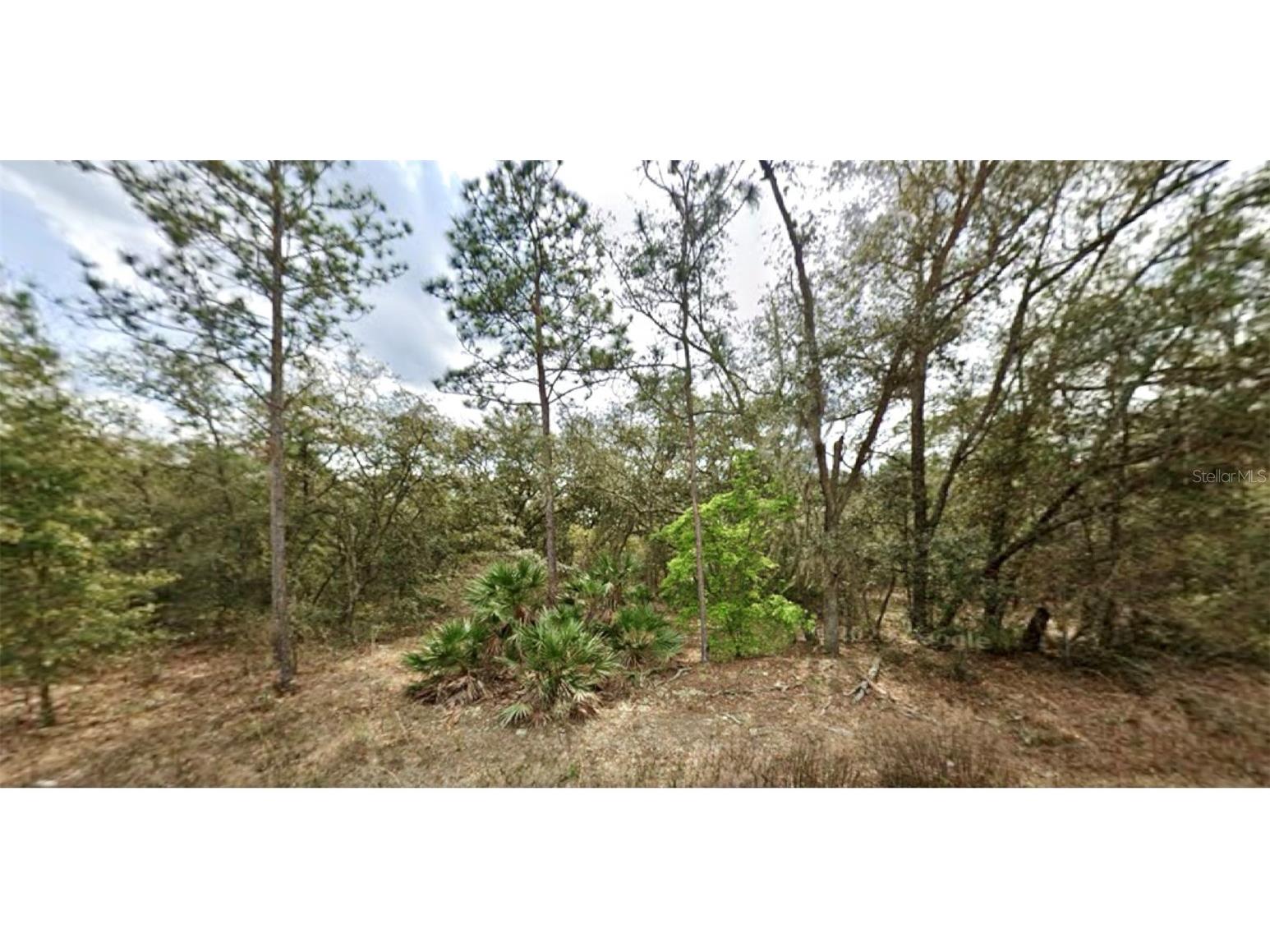 109 Dottie Street Interlachen FL 32148 O6297359 image1