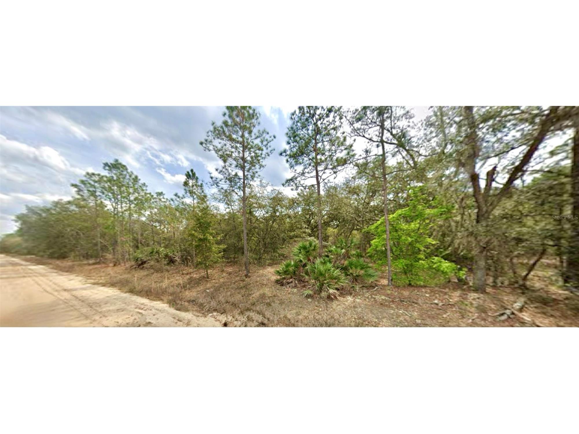 109 Dottie Street Interlachen FL 32148 O6297359 image2