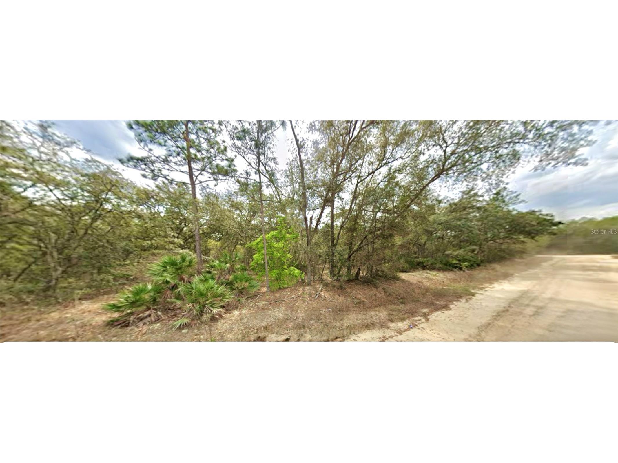 109 Dottie Street Interlachen FL 32148 O6297359 image3