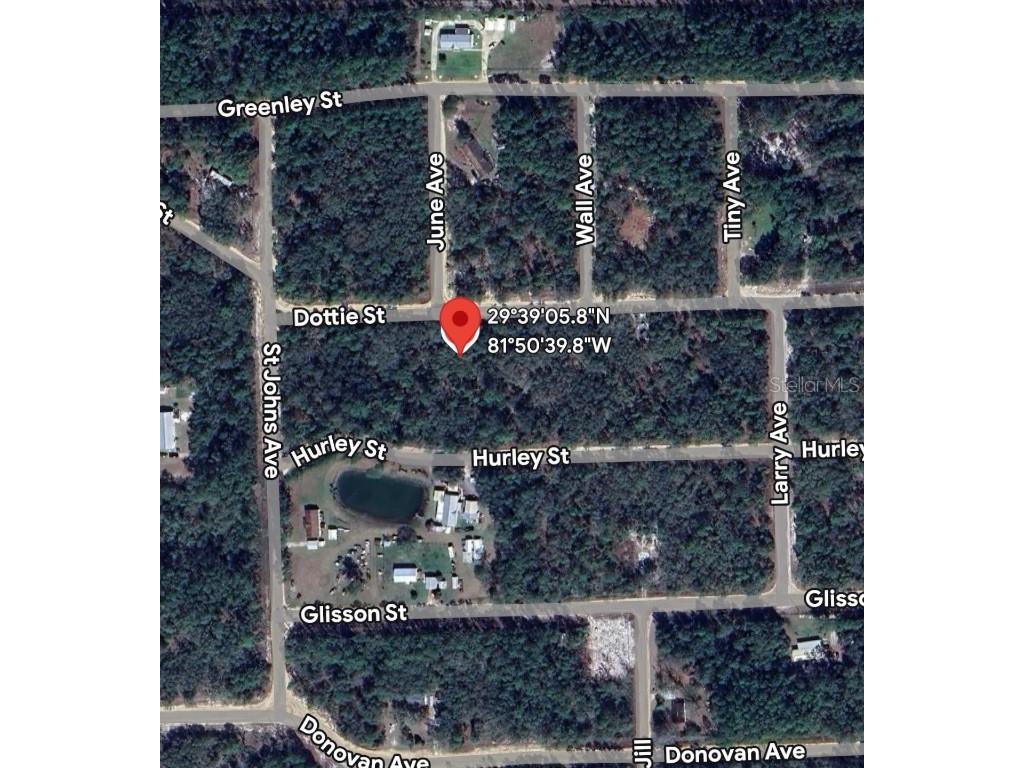 109 Dottie Street Interlachen FL 32148 O6297359 image4