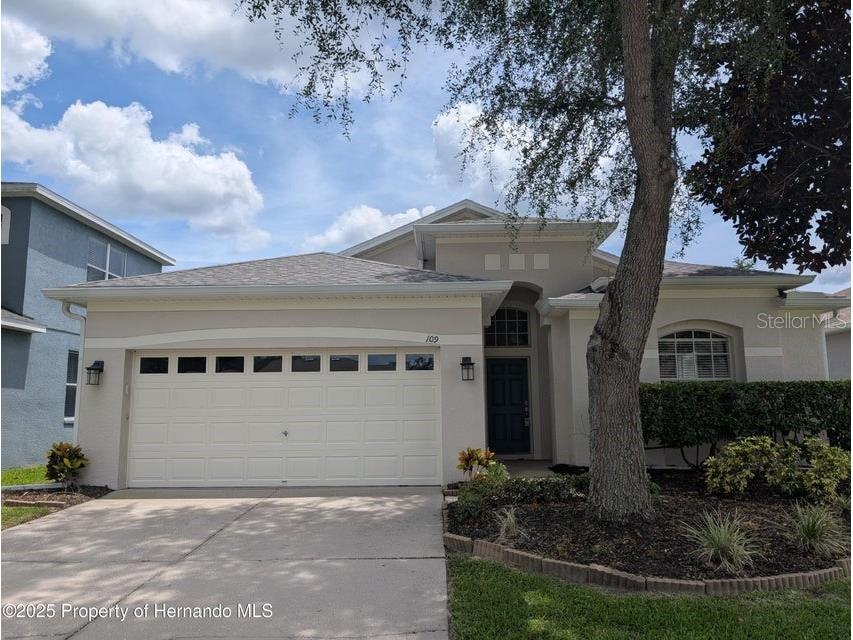 109 Fairmont Drive Spring Hill FL 34609 TB8419518 image3